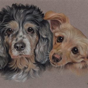 Meet your Posher, Sally